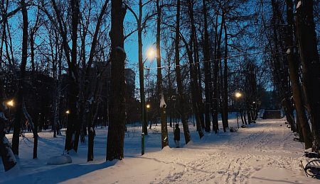 В парке усадьбы Расторгуева-Харитонова установили новое освещение